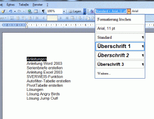 Anleitung: Inhaltsverzeichnis erstellen in Word 2003