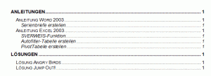 Anleitung: Inhaltsverzeichnis erstellen in Word 2003